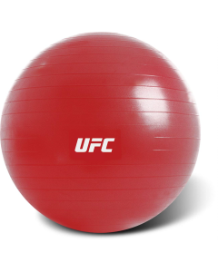 Gimnastikos kamuolys UFC 65cm