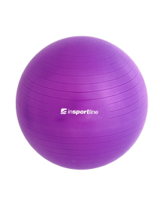 Gimnastikos kamuolys + pompa inSPORTline Top Ball 55 cm - Dark Grey