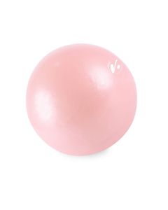 Jogos kamuolys 20cm GYMSTICK VIVID 61333PI Pink